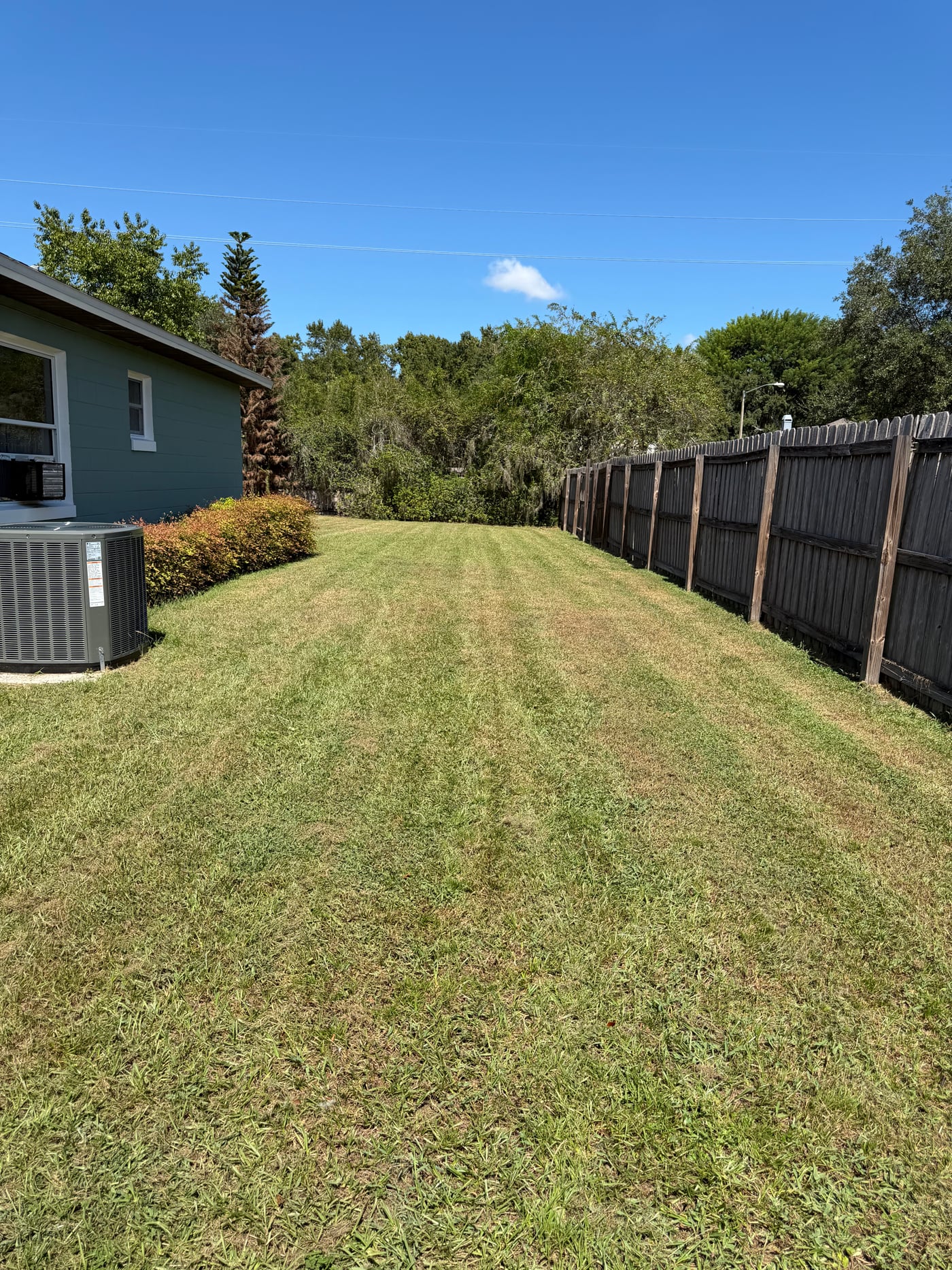 Care from front yard to back