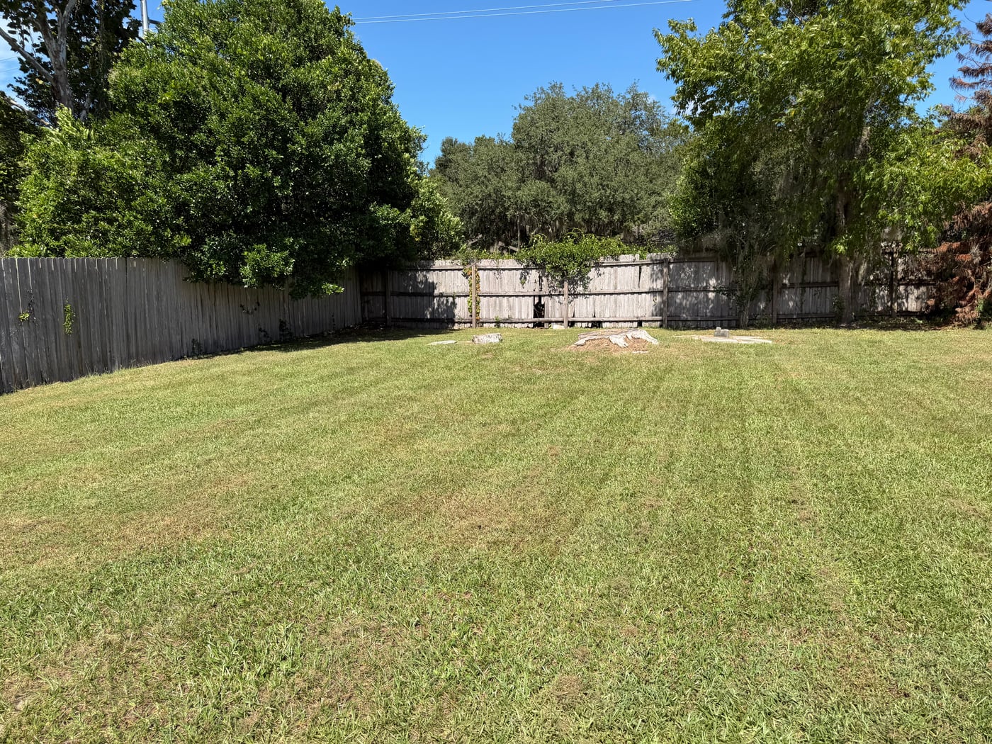A tidy yard, ready to enjoy